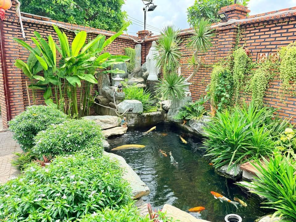 Căn nhà vườn tuyệt phẩm góc 2 mặt đường tại long mỹ phước hải, dt 465m2 giá 6,5 tỷ có thương lượng