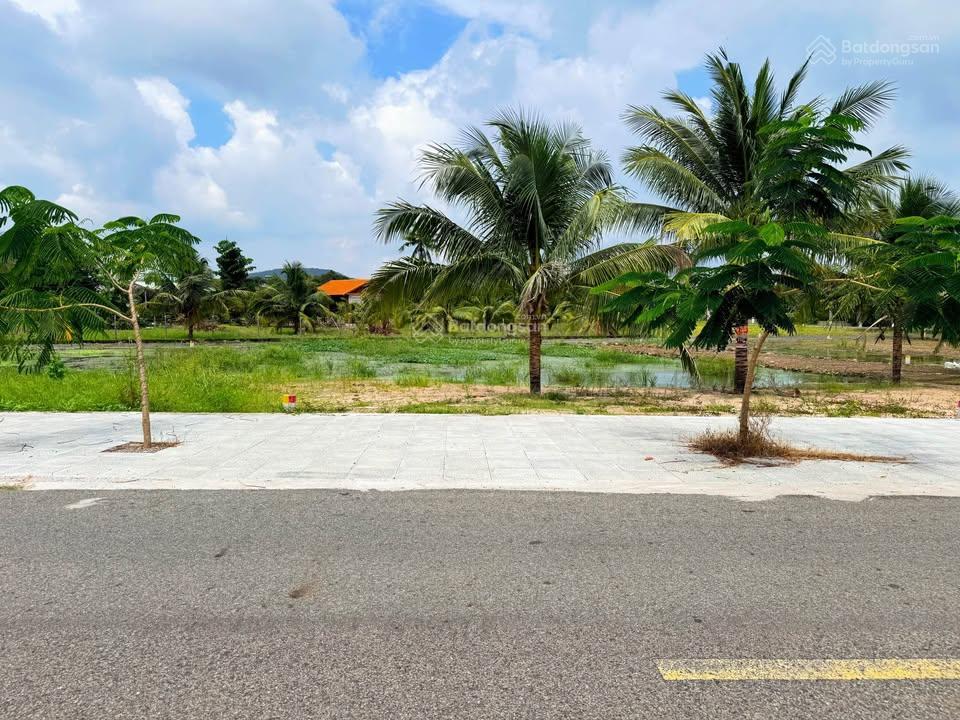 Đất long mỹ  phước hải 295m², 80m² thổ cư, đường nhựa có vỉa hè, gần núi minh đạm, 2,1 tỷ