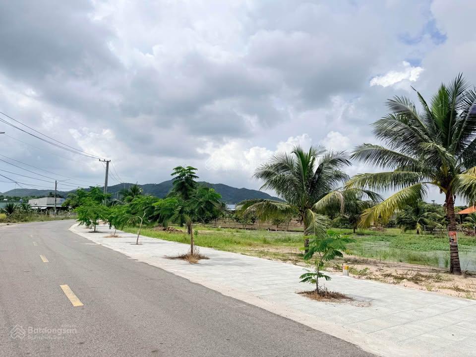 Đất long mỹ  phước hải 295m², 80m² thổ cư, đường nhựa có vỉa hè, gần núi minh đạm, 2,1 tỷ