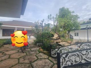 Siêu phẩm! farm 3ha ở nghỉ dưỡng kết hợp làm nông nghiệp công nghệ cao, đường 8m ngang 100m 65tỷ