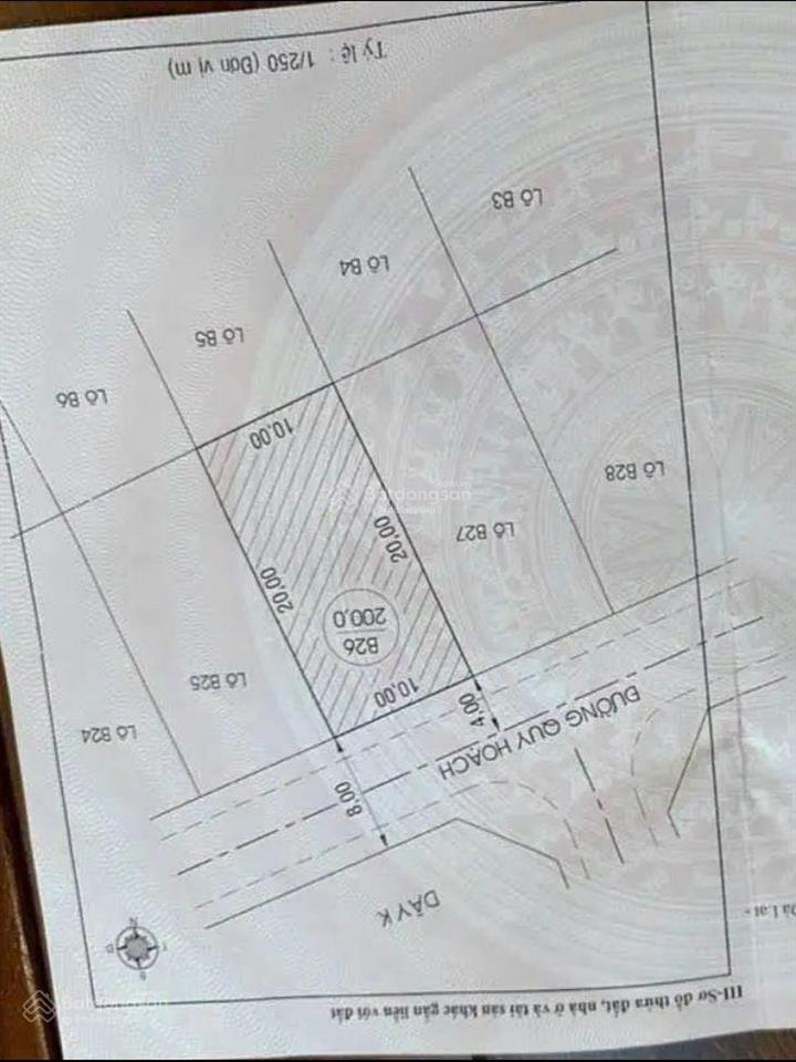 Bán nhanh! đất biệt thự kqh trần anh tông p. 8 đà lạt  cách hồ xuân hương 2 km  10,2 tỷ