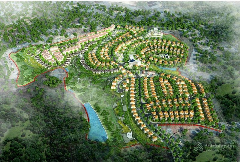 Kqh an sơn đà lạt  view rừng thông vĩnh viễn không bị chắn view  264.8m2  11,8tỷ (45 tr/m2)