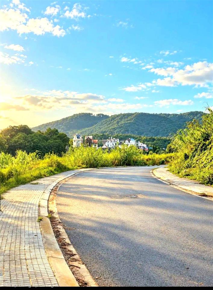 Kqh an sơn đà lạt  view rừng thông vĩnh viễn không bị chắn view  264.8m2  11,8tỷ (45 tr/m2)