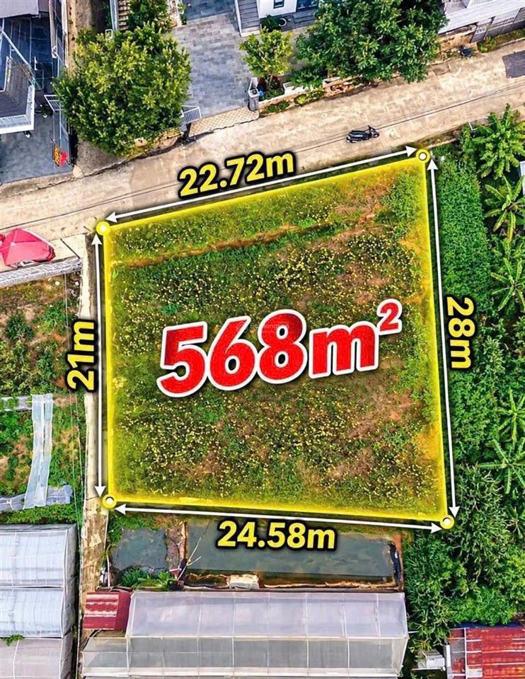 Đất rẻ 568m2| mt 22.7m | 12,5 tỷ | trịnh hoài đức phường 11 đà lạt  chỉ 22 tr/m2 srxd