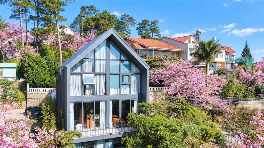 Villa view thung lũng săn mây vĩnh viễn  khe sanh, phường 10, đà lạt