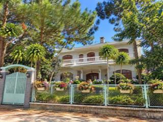 Villa sân vườn  hùng vương, p.9, đà lạt  525 m2  ngang 19m  23,5 tỷ.