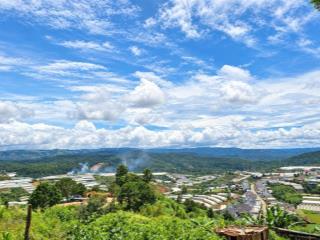 Ngộp! 17 tỷ xuống 12 tỷ| 1270m2 (300m2 thổ cư)|mt 22 m| xuân thọ, đà lạt| view rừng thông săn mây.