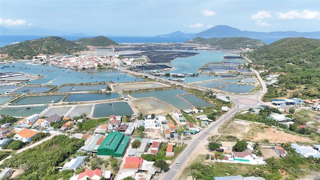 Đất 2253 m2 đường hòn khói, p. ninh hải xd siêu thị, coffee house + bungalow sườn đồi cssk