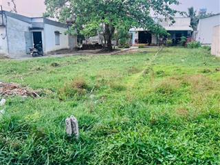 Bán đất đẹp tại xã vĩnh thanh, đồng nai. dt 194m2, cơ hội đầu tư, vị trí đẹp, giao dịch dễ dàng