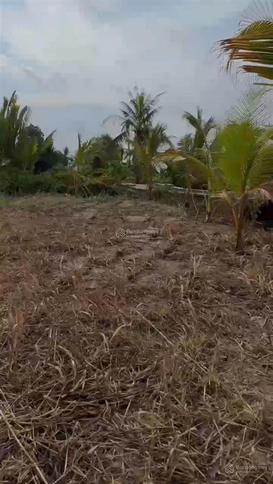 Bán đất phước khánh, nhơn trạch, đn, sổ sẵn sàng, dt đẹp 877m2, giá đầu tư, cơ hội chỉ có một