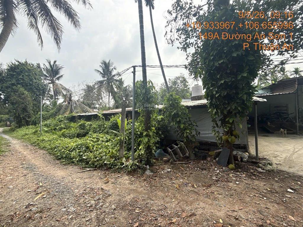 Bán 1000m2 đất sân vườn cách vành đai iii 300m, ngay an sơn 1, thuận an