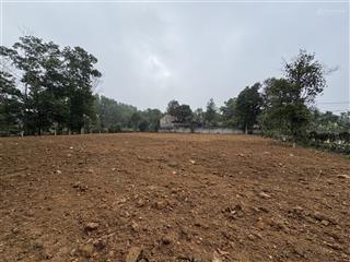 1470m2 full thổ cư trục chính kim trung, kim sơn, sơn tây