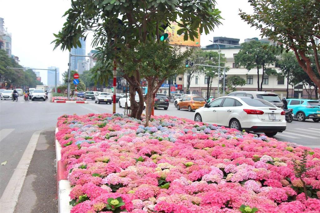 Bán tòa căn hộ dịch vụ 8 tầng 18 phòng