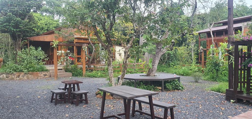 Bán đất diện tích lớn tại hội an 1500 m2 phù hợp làm mô hình kinh doanh quy mô rộng