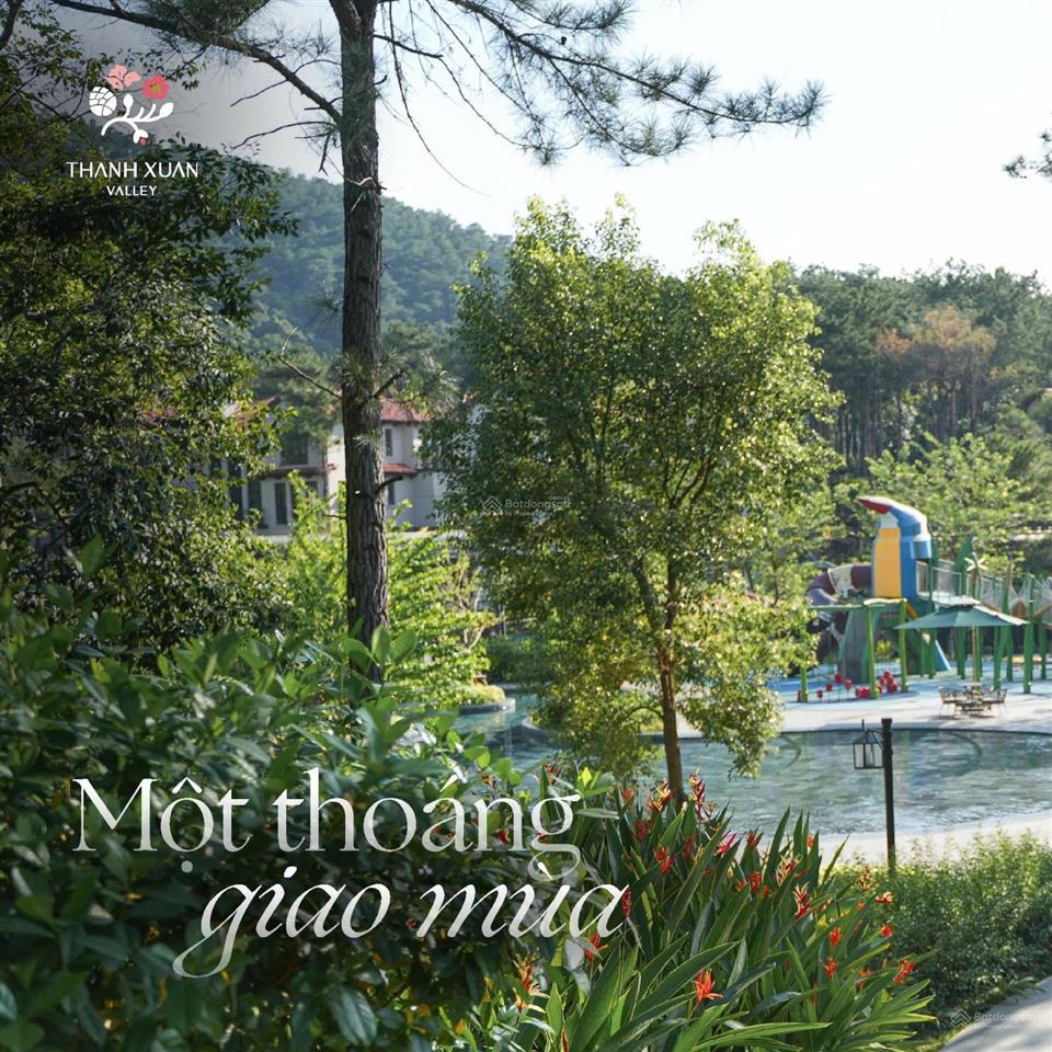 Thông tin cập nhật dự án thanh xuan valley