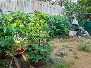 Bán đất đường 46, hiệp bình chánh, thủ đức,3.6*12m, hẻm 3m,giá 910 triệu