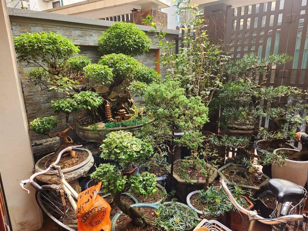 Bán gấp nhà mặt ngõ pl hoàng quốc việt, dt 150m2, mt 12m ngõ ô tô tránh, cách mp 40m. giá hot 31 tỷ