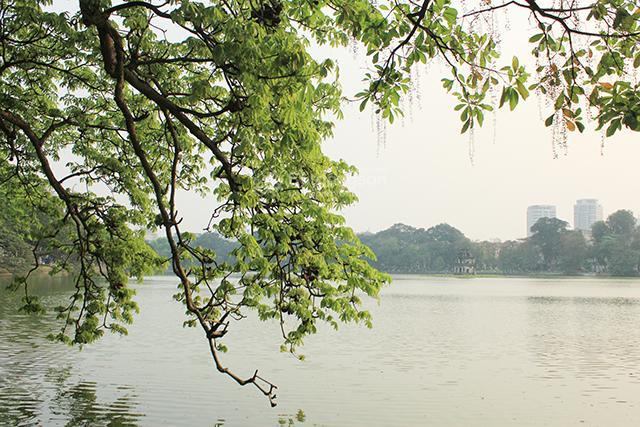 Cần cho thuê gấp nhà mp ngô quyền. dt sàn sử dụng 500m2, mt 10m. vị trí đẹp trong phố gần hồ gươm