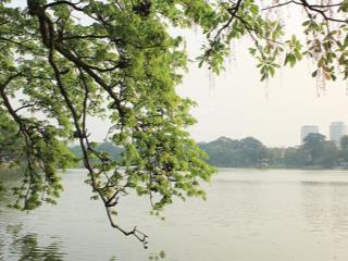 Cần cho thuê gấp nhà mp ngô quyền. dt sàn sử dụng 500m2, mt 10m. vị trí đẹp trong phố gần hồ gươm