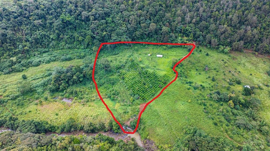 Bán đất 15560m2 tại cách trại ngựa măng đen gần 1km, giá ưu đãi 2,98 tỷ