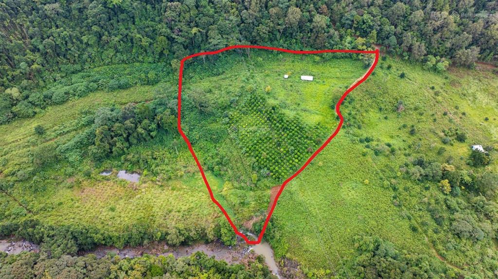 Bán đất 15560m2 tại cách trại ngựa măng đen gần 1km, giá ưu đãi 2,98 tỷ