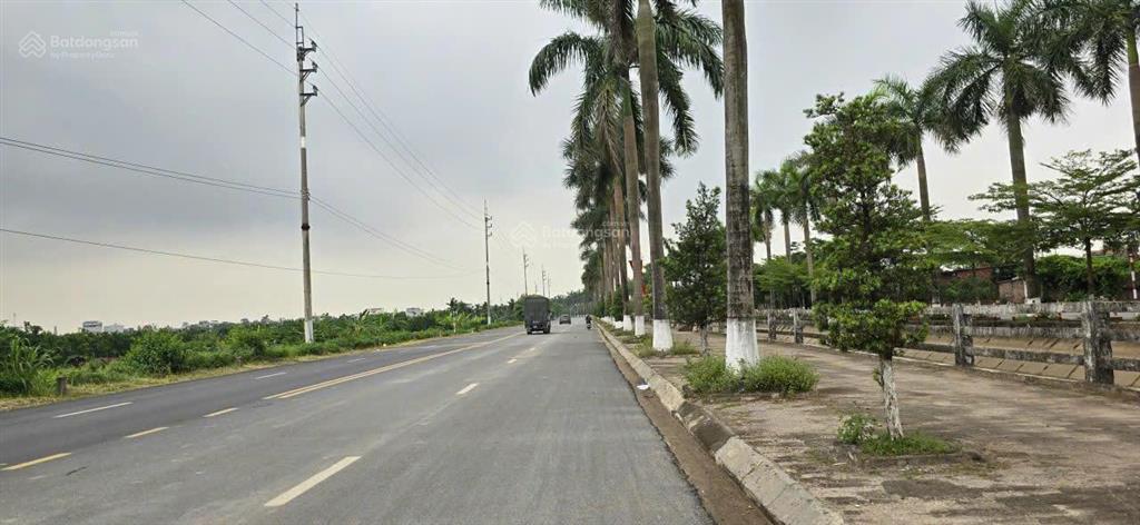 Bán đất đấu giá đầm phụng, cửa liễu, xã ô diên (hạ mỗ).