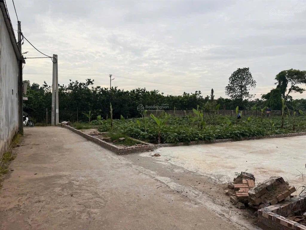 Bán 99m2 xã liên minh (trung châu)
