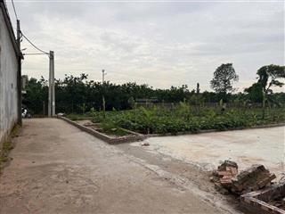 Bán 99m2 xã liên minh (trung châu)