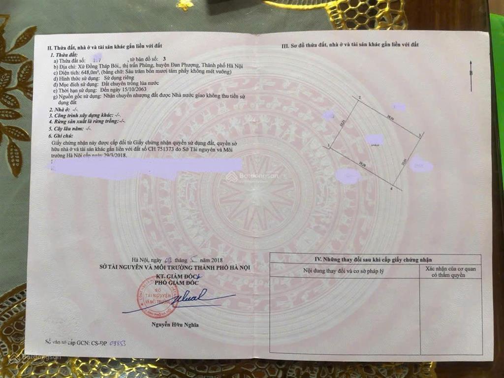 Bán đất ruộng xã đan phượng, hn (xứ đồng tháp bói, thị trấn phùng)