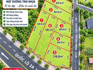 Đất kinh doanh gần chợ đầu mối vĩnh tường