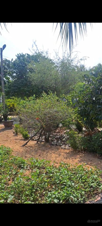 Nhà vườn 2.000m không gian xanh giữa lòng sài gòn 23 tỷ