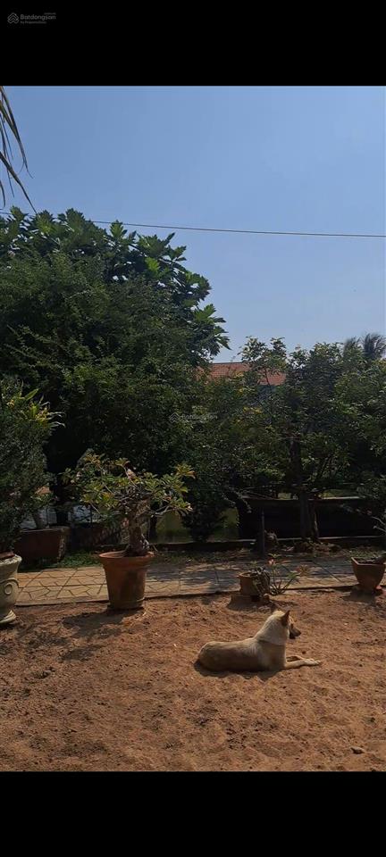 Nhà vườn 2.000m không gian xanh giữa lòng sài gòn 23 tỷ