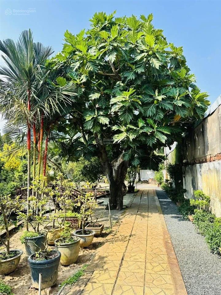 Nhà vườn 2.000m không gian xanh giữa lòng sài gòn 23 tỷ