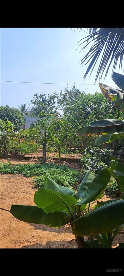 Nhà vườn 2.000m không gian xanh giữa lòng sài gòn 23 tỷ