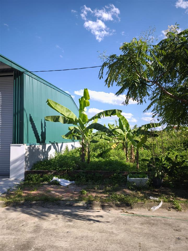 Cắt lỗ 1,5 tỷ đất phân lô 80m2 kđt nguyên khê, đông anh, hà nội  0975 888 ***