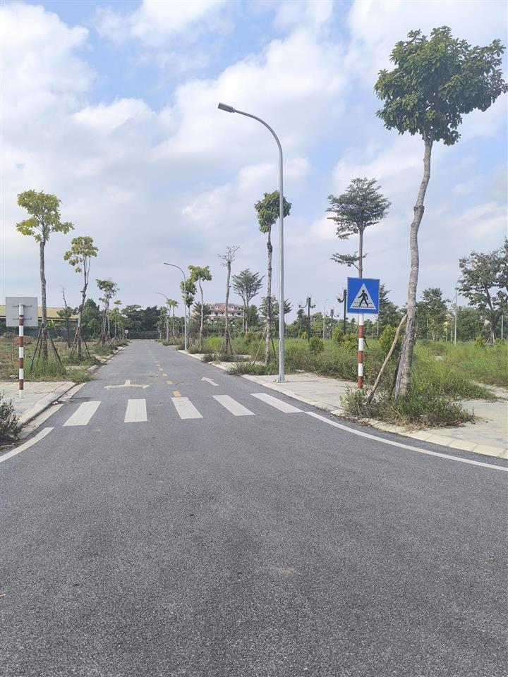 Cắt lỗ 30% đất đấu giá 80m2  khu x1 nguyên khê, phúc thịnh, đông anh, giá nhỉnh 7,x tỷ