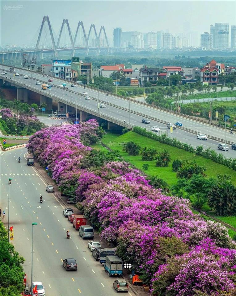 Cần bán 67m2 view đẹp tại intracom vĩnh ngọc. 0362 608 ***