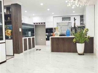 Bán nhà Lạc Long Quân, Tây Hồ, ô tô, kinh doanh, dân trí, 53mx5t, 21.5 tỷ, 0985696268