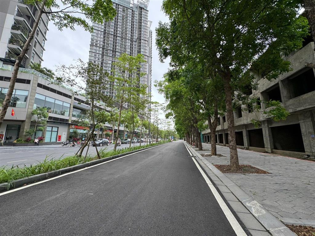 Xả lỗ bán nhà phố vạn tuế 100m² đối diện chung cư haven park kđt ecopark giá 20 tỷ 800 bao phí