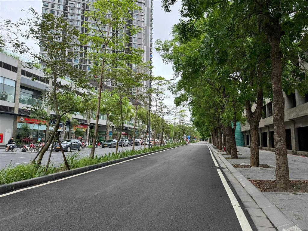 Bán gấp trong 1 tháng nhà phố vạn tuế 100m2 đối diện chung cư haven park kđt ecopark 20tỷ800