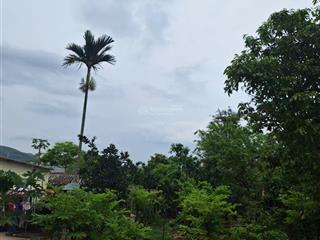 Chính chủ bán 180m2 đất thổ cư khu 5, đại yên, hạ long, quảng ninh. sát vin hạ long xanh