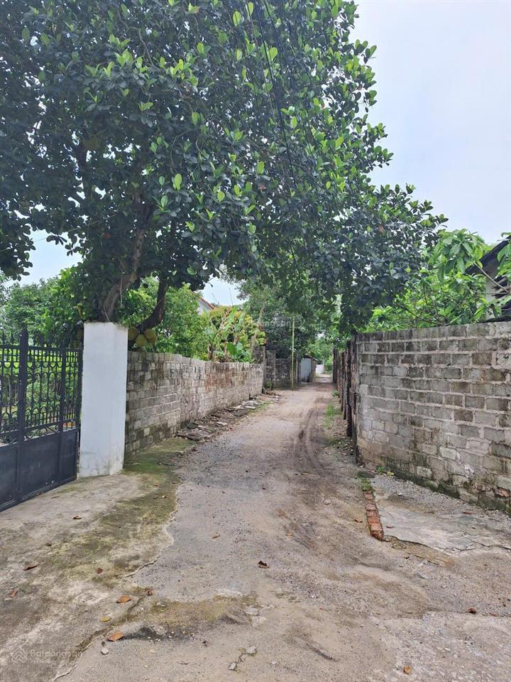 Chính chủ bán 180m2 đất thổ cư khu 5, đại yên, hạ long, quảng ninh. sát vin hạ long xanh