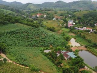 Mảnh đất nghỉ dưỡng trong đất có ao nhỏ, cách tl415 hơn 1km, gần dự án kdl đập vống,minh quang, hn