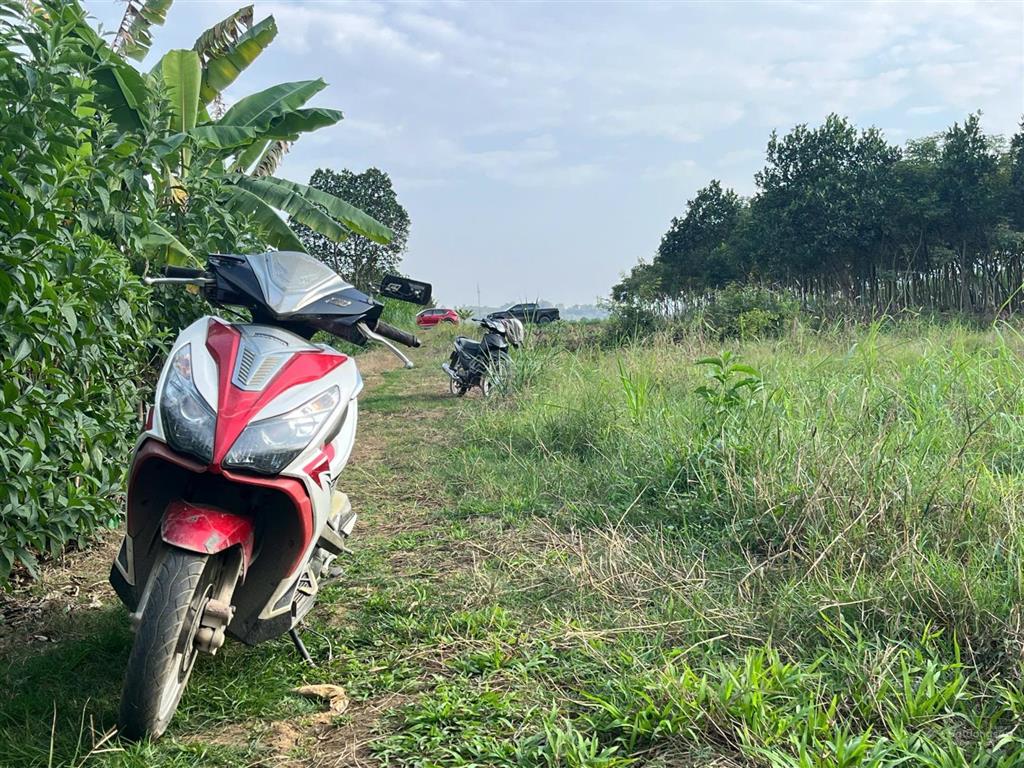 Mảnh đất trồng cây cách tt hà nội hơn 40kmgần đường lớnxung quanh nhiều villahomestay nghỉ dưỡng