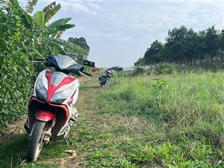 Mảnh đất trồng cây cách tt hà nội hơn 40kmgần đường lớnxung quanh nhiều villahomestay nghỉ dưỡng