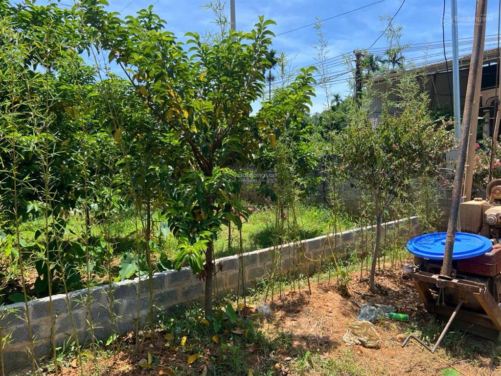 Lô đất 18m mặt đường trục chính gần cổng làng sầm uất, sẵn vườn cây, giếng khoan, điện, tường bao