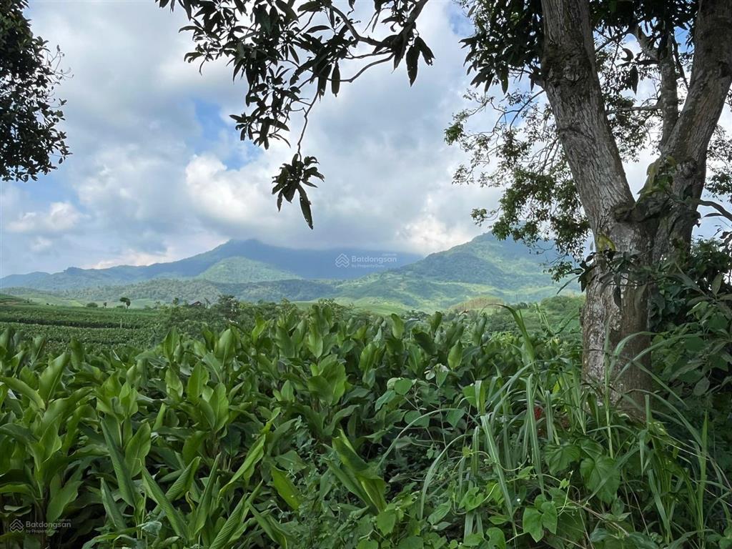 Mảnh đất view núi ba vì, mặt giáp đập vống với làn nước xanh mướt quanh năm minh quang, ba vì, hn