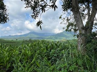 Mảnh đất view núi ba vì, mặt giáp đập vống với làn nước xanh mướt quanh năm minh quang, ba vì, hn