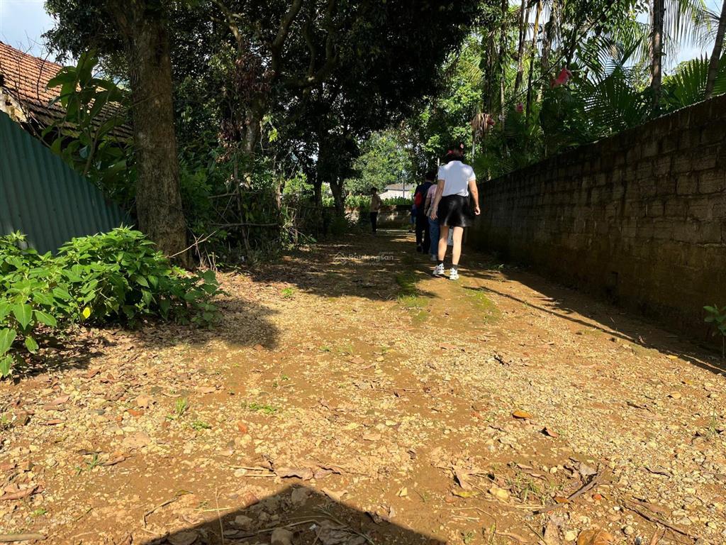Mảnh đất view núi ba vì, mặt giáp đập vống với làn nước xanh mướt quanh năm minh quang, ba vì, hn