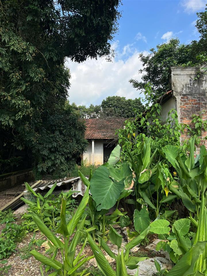 Mảnh đất view núi ba vì, mặt giáp đập vống với làn nước xanh mướt quanh năm minh quang, ba vì, hn